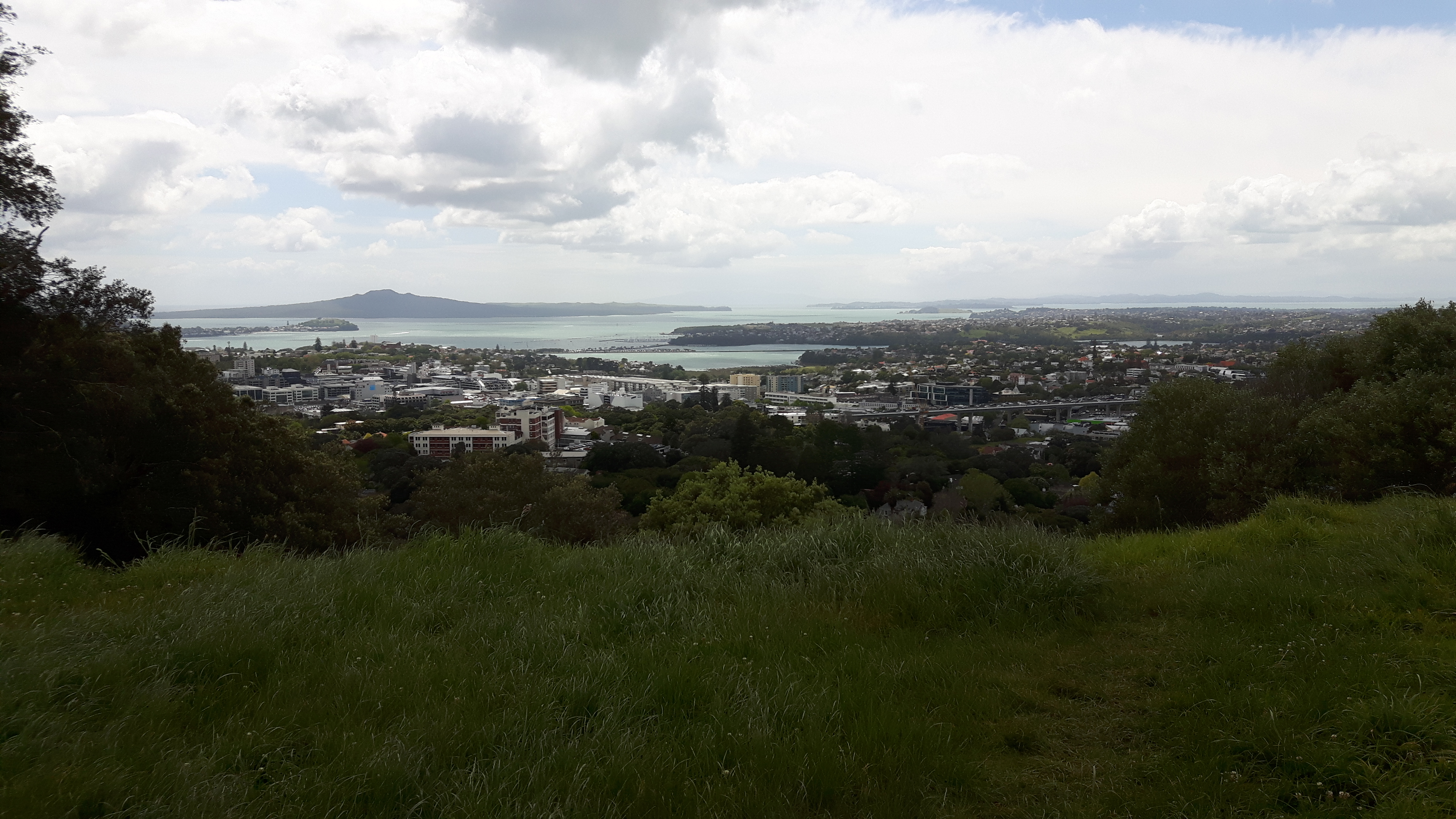 Auckland from mount Eden