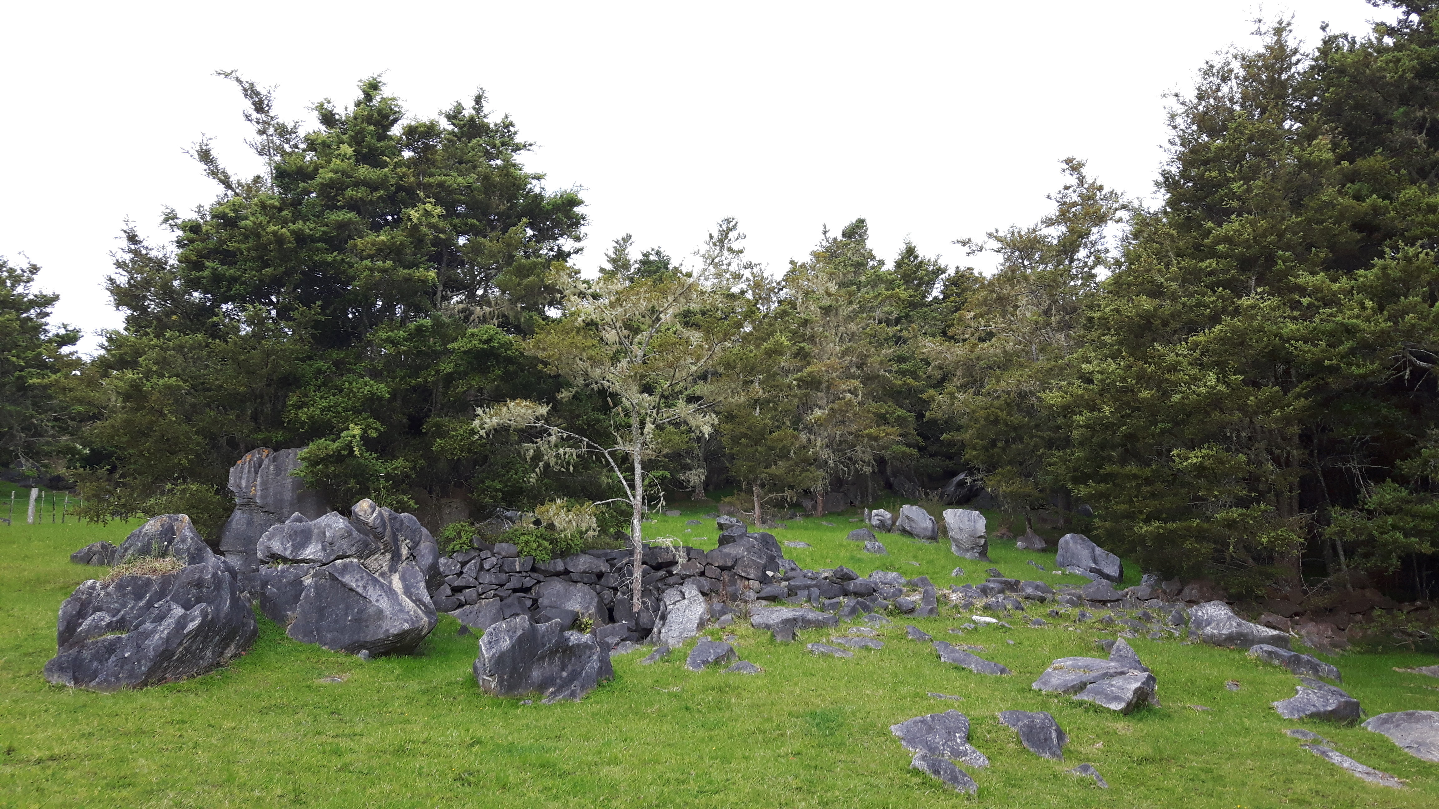 Whangarei stone remains