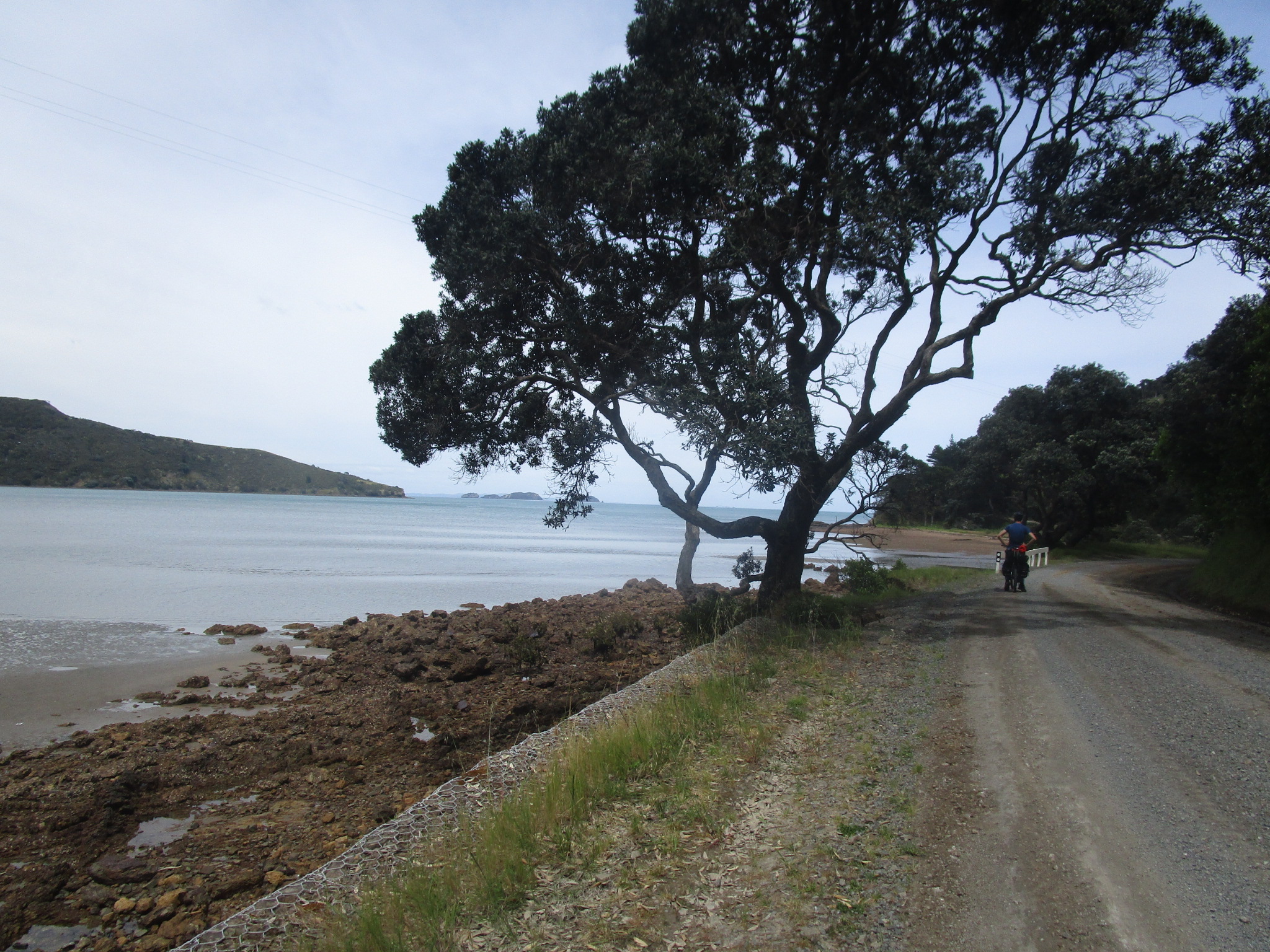 Touring the Coromandel on a bicycle