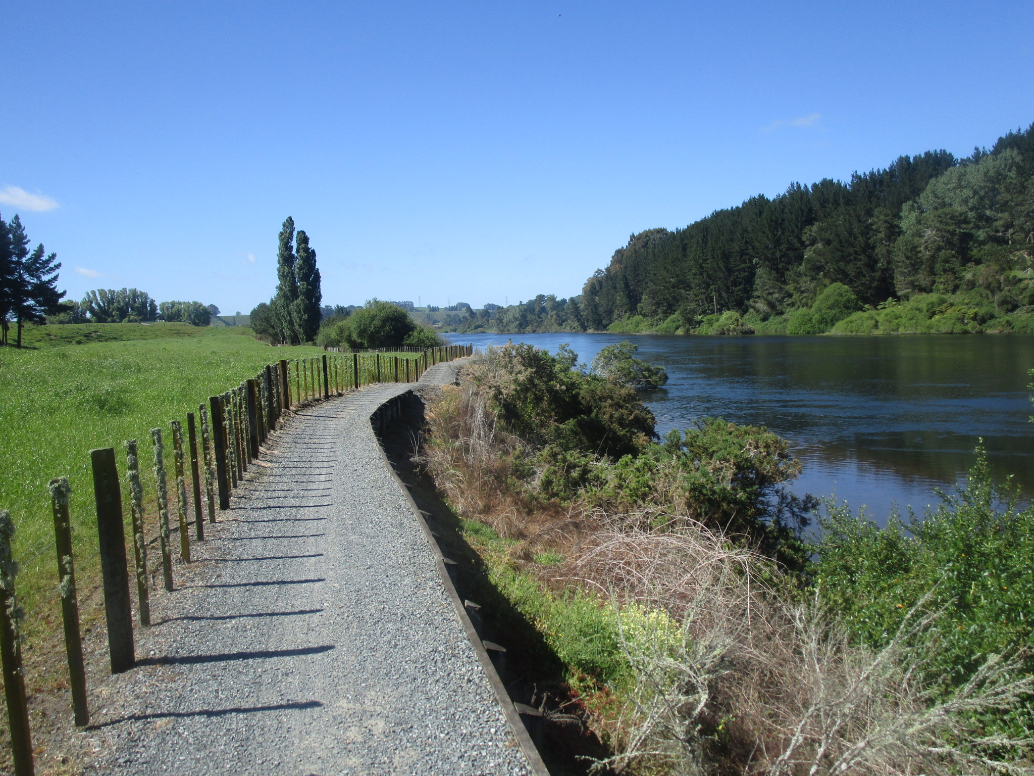 Waikato river trail