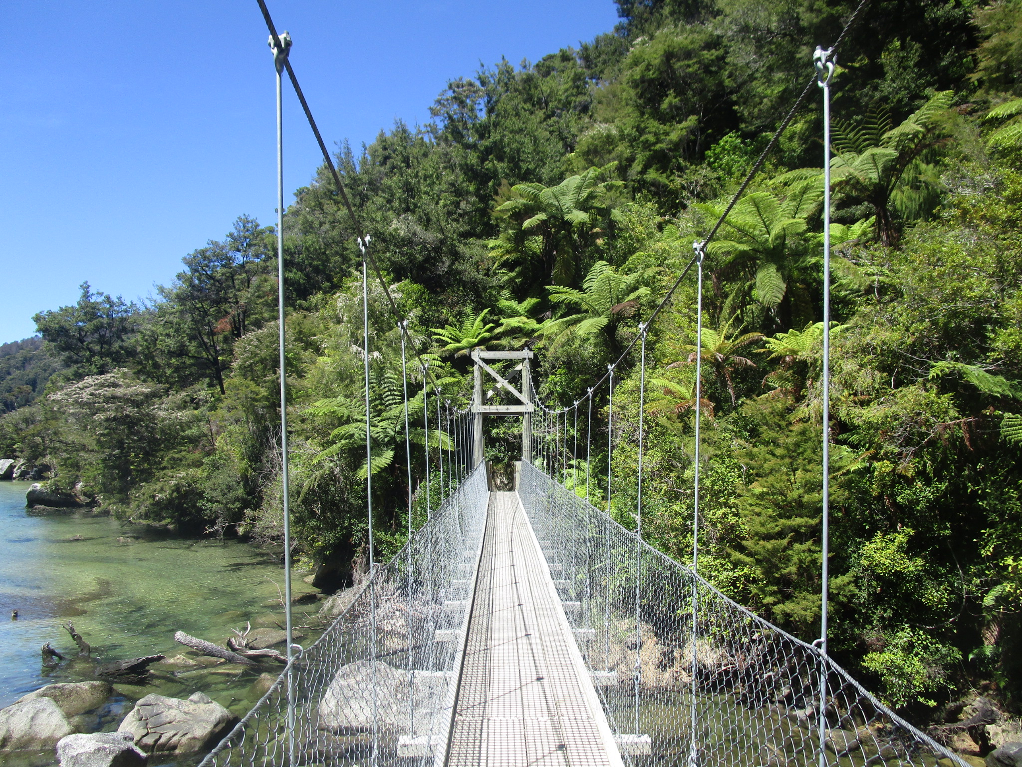 Abel Tasman swing bridge