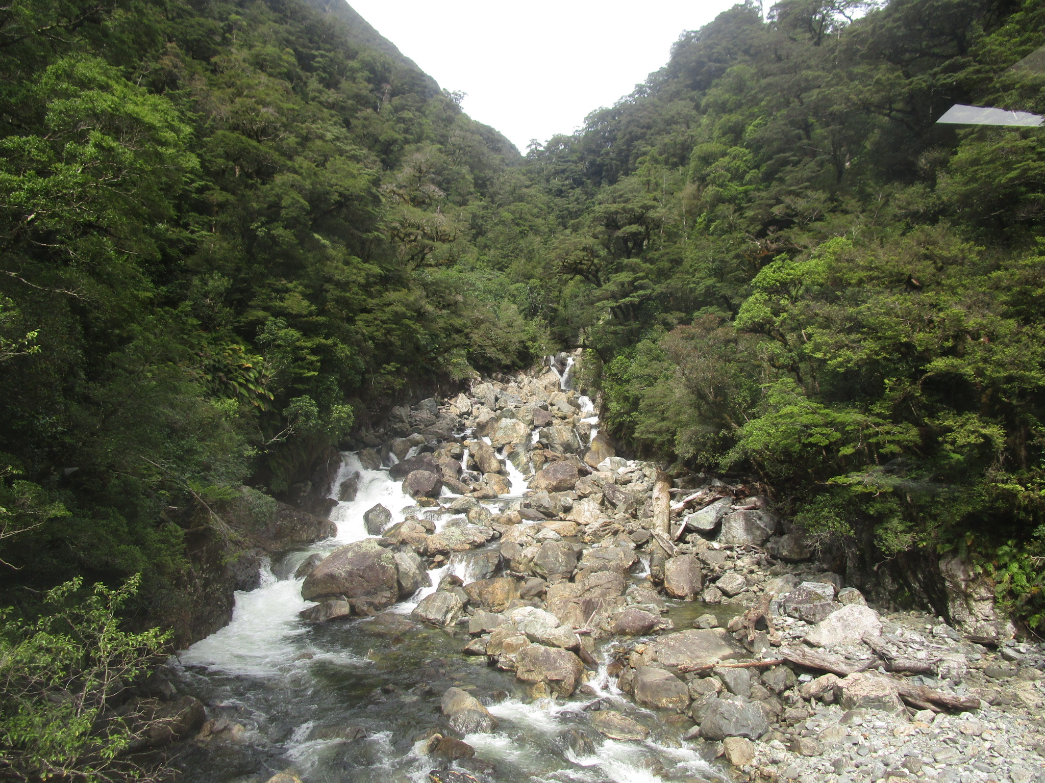 Doubtful Sound river