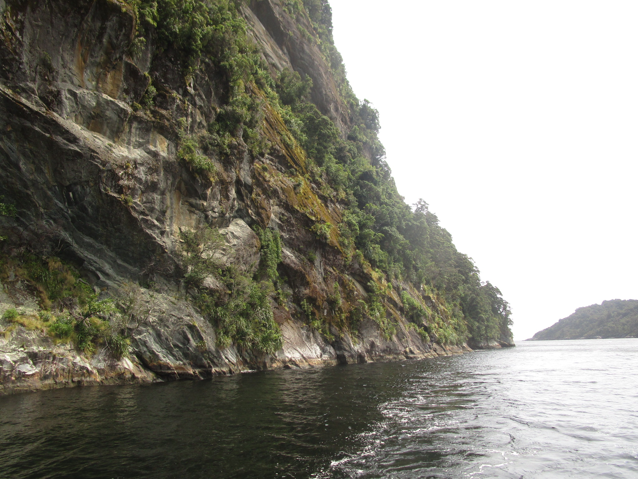 Doubtful Sound cliff